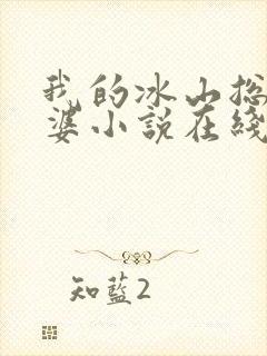 我的冰山总裁老婆小说在线阅读