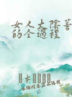 女人大阴蒂被舔的全过程