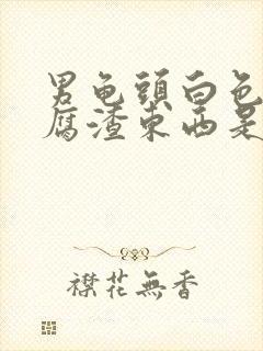 男龟头白色的豆腐渣东西是什么