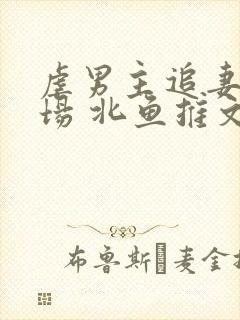 虐男主追妻火葬场 北鱼推文