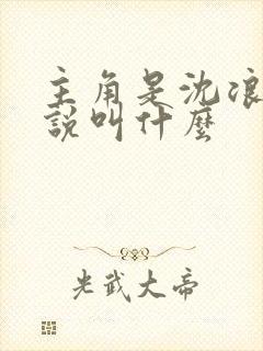 主角是沈浪的小说叫什么