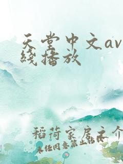天堂中文av在线播放