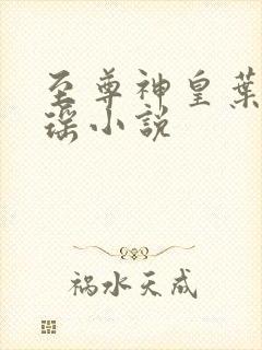 至尊神皇叶尘池瑶小说