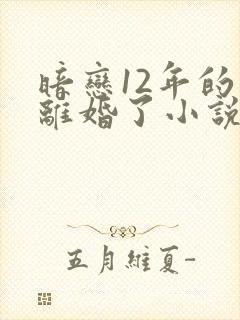 暗恋12年的他离婚了小说免费阅读无弹窗
