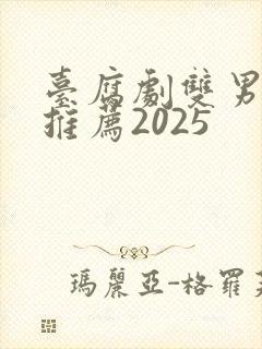 台腐剧双男主剧推荐2025