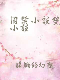 囚禁小说双男主小说