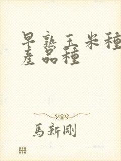 早熟玉米种子高产品种