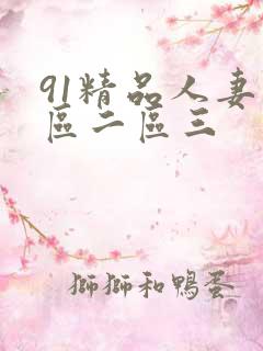 91精品人妻一区二区三