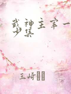 武神主宰一共多少集