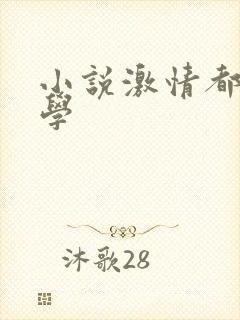 小说激情都市文学