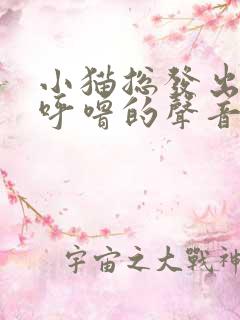 小猫总发出呼噜呼噜的声音怎么回事