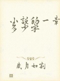 小说的一章大概多少字