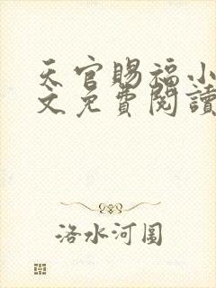 天官赐福小说全文免费阅读未删减无弹