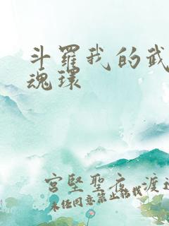 斗罗我的武魂是魂环