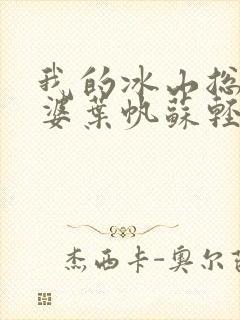 我的冰山总裁老婆叶帆苏轻雪