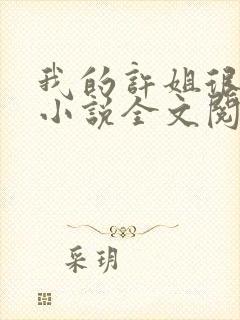 我的许姐很温柔小说全文阅读