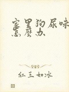 家里狗尿味太重怎么办