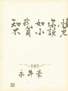 知我如你,情深不负小说免费阅读