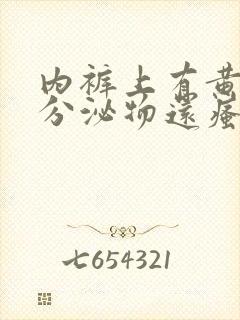 内裤上有黄黄的分泌物还瘙痒是怎么回事