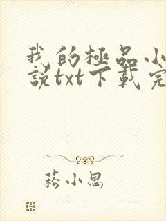 我的极品小姨小说txt下载完整版