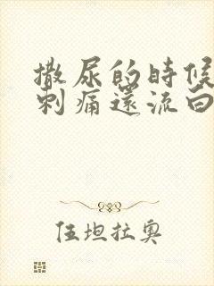 撒尿的时候尿道刺痛还流白色液体