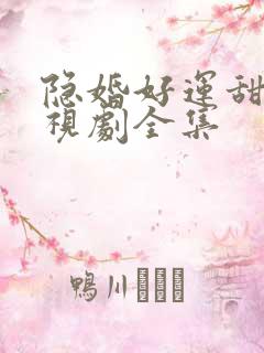 隐婚好运甜妻电视剧全集