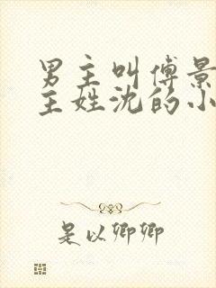 男主叫傅景琛女主姓沈的小说