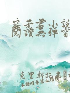 容子君小说在线阅读无弹窗