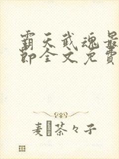 霸天武魂最新章节全文免费阅读