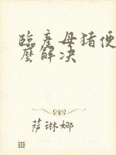 临产母猪便秘怎么解决