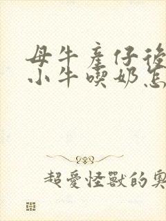 母牛产仔后不给小牛吃奶怎么办