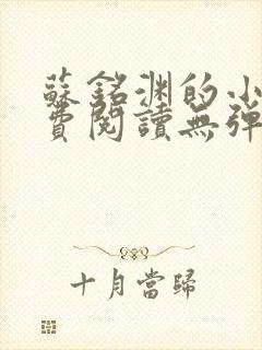 苏铭渊的小说免费阅读无弹窗全文