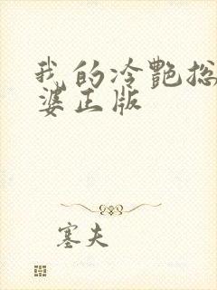 我的冷艳总裁老婆正版