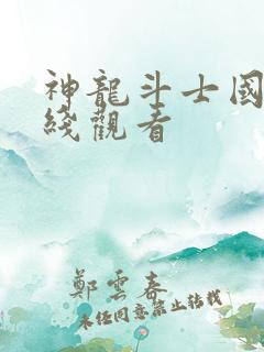 神龙斗士国语在线观看