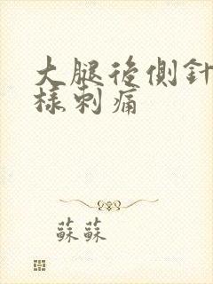 大腿后侧针扎一样刺痛