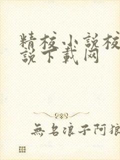 精校小说校对小说下载网