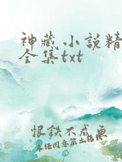神藏小说精校版全集txt