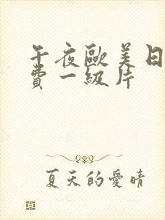 午夜欧美日韩免费一级片