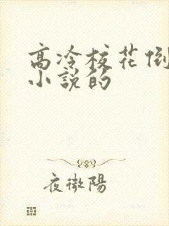 高冷校花倒追我小说的