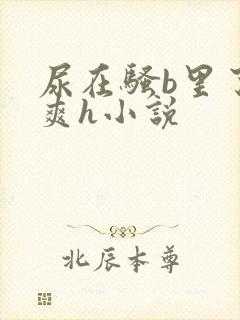 尿在骚b里了好爽h小说