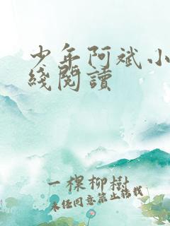 少年阿斌小说在线阅读