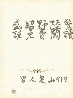 盛昭野陆惊棠小说免费阅读最新章节