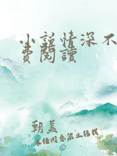 小说情深不负免费阅读