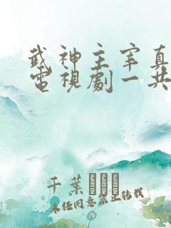 武神主宰真人版电视剧一共多少集