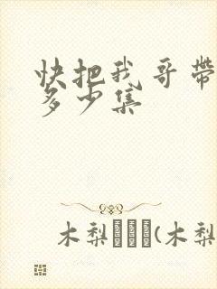 快把我哥带走共多少集