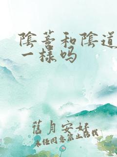 阴蒂和阴道高潮一样吗