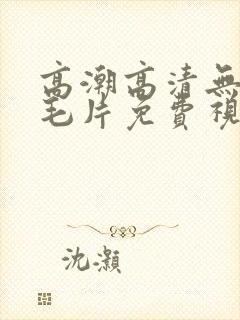高潮高清无遮挡毛片免费视频
