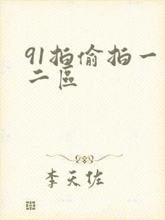 91拍偷拍一区二区