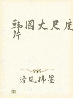 韩国大尺度理伦片