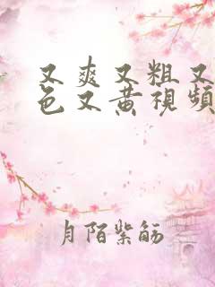 又爽又粗又猛又色又黄视频